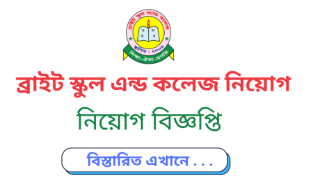 Bright School and College Job Circular 2024